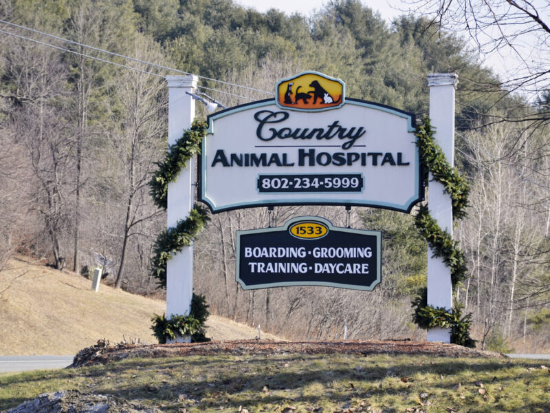 Welcome to Country Animal Hospital!