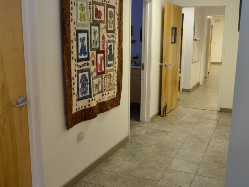 Beautiful handmade quilts greet you as you walk down the hallway.