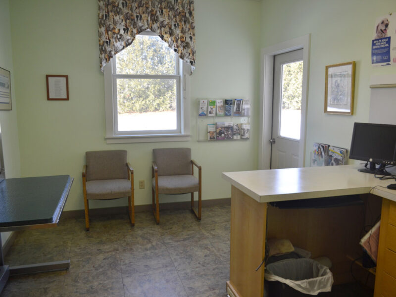 We have four exam rooms, ready to welcome your pet.