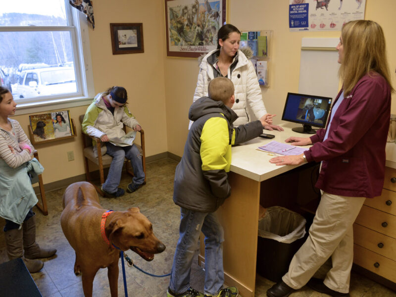 We are a family friendly vet clinic, and children are always welcome.