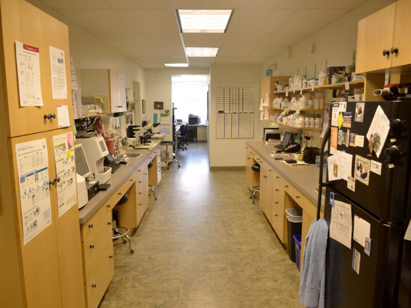 Our lab and pharmacy area is bright and clean.