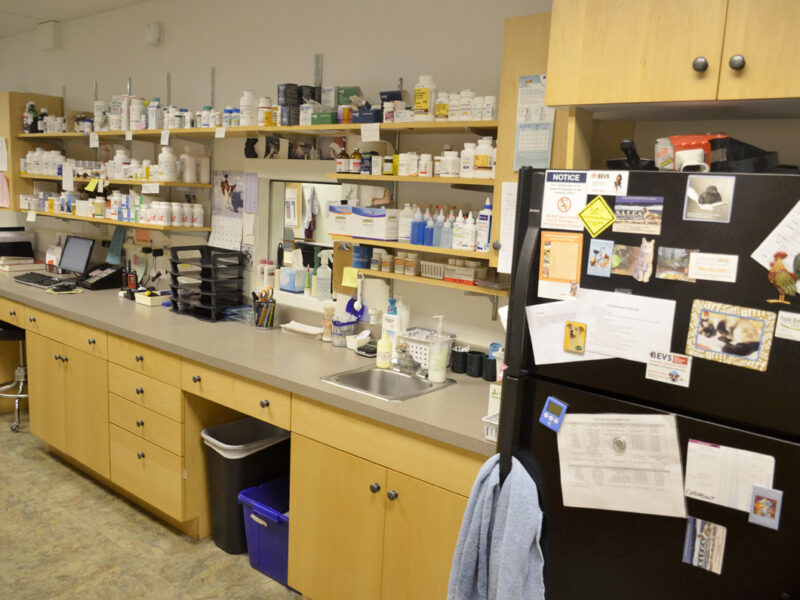 Our pharmacy is well-organized and fully stocked for whatever your pet might need.