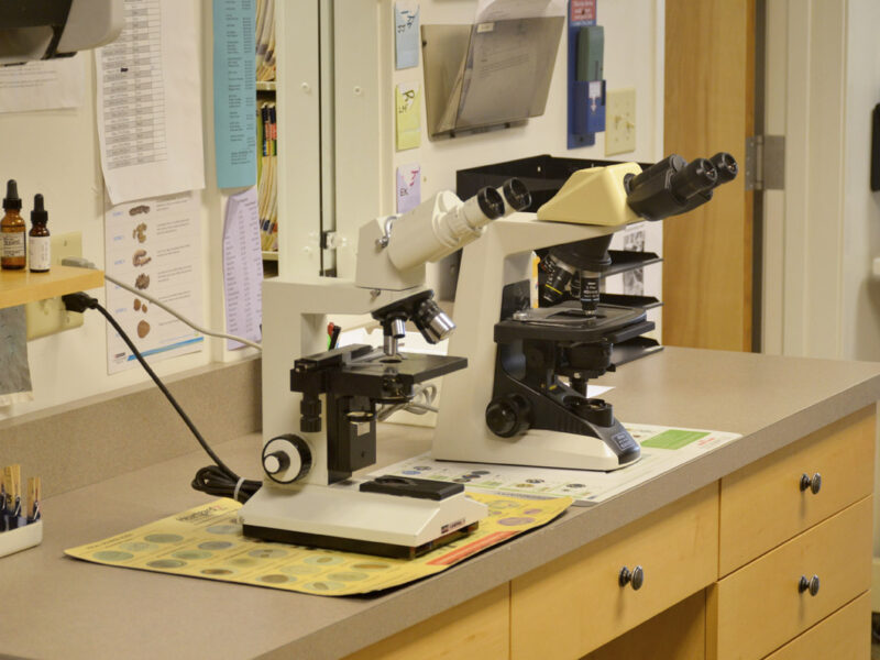 Our in-house lab means shorter wait times, as not everything has to be sent out to be processed.