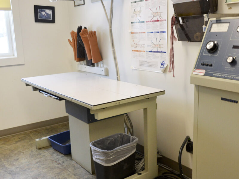 We have in house digital X-Ray ability for speed and accuracy in making a diagnosis.