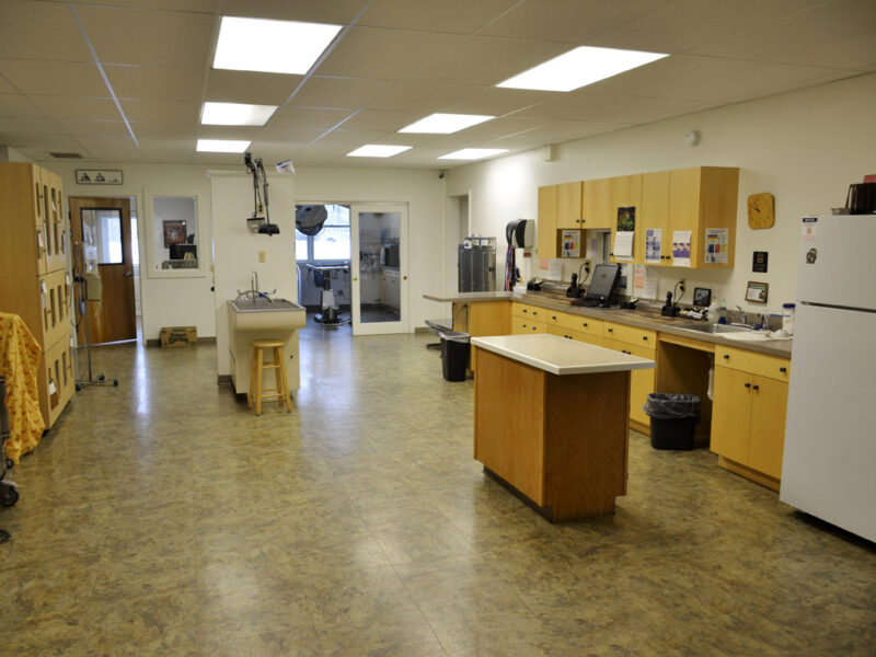 In our Treatment Area we do dental cleanings and many other procedures.